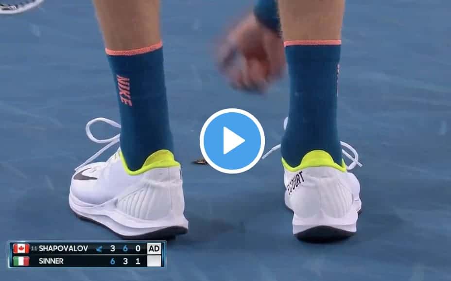 Sinner alle prese con Shapovalov e... con un insetto