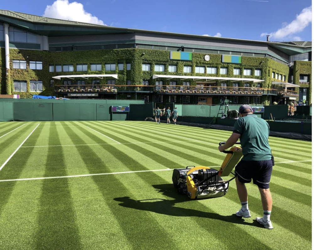 Tutti i segreti dell'erba di Wimbledon