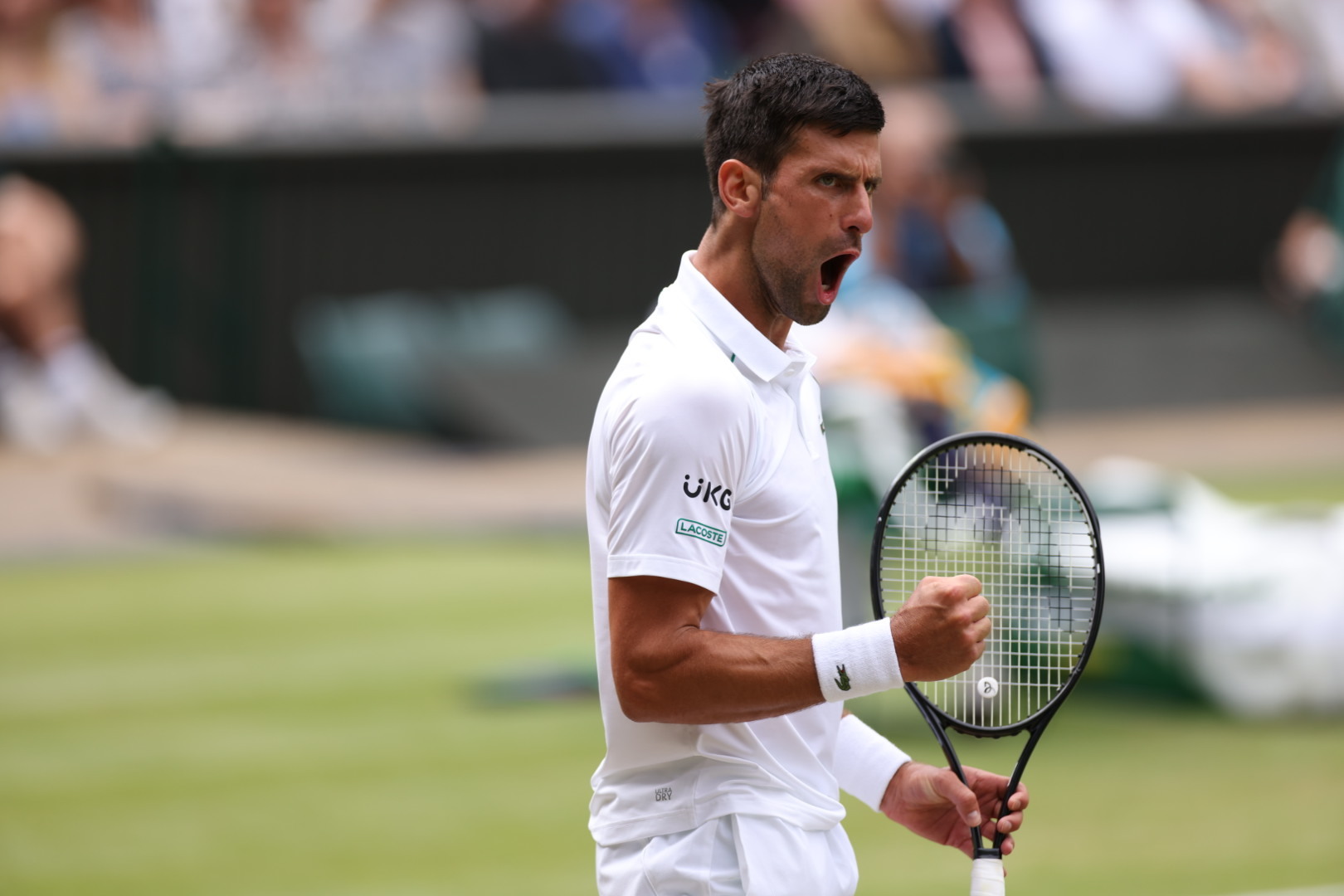 Djokovic passeggia con Fucsovics a Wimbledon