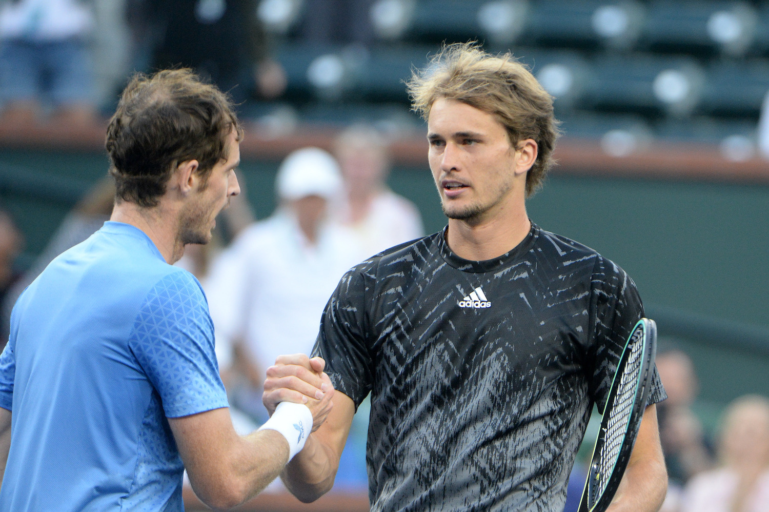Zverev, con Murray battuti i Fab4