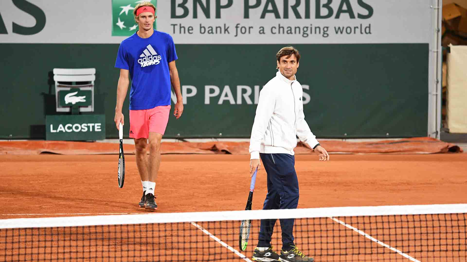 Zverev-Ferrer, i motivi della separazione