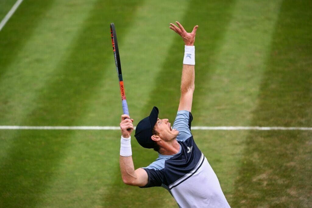 andy murray
