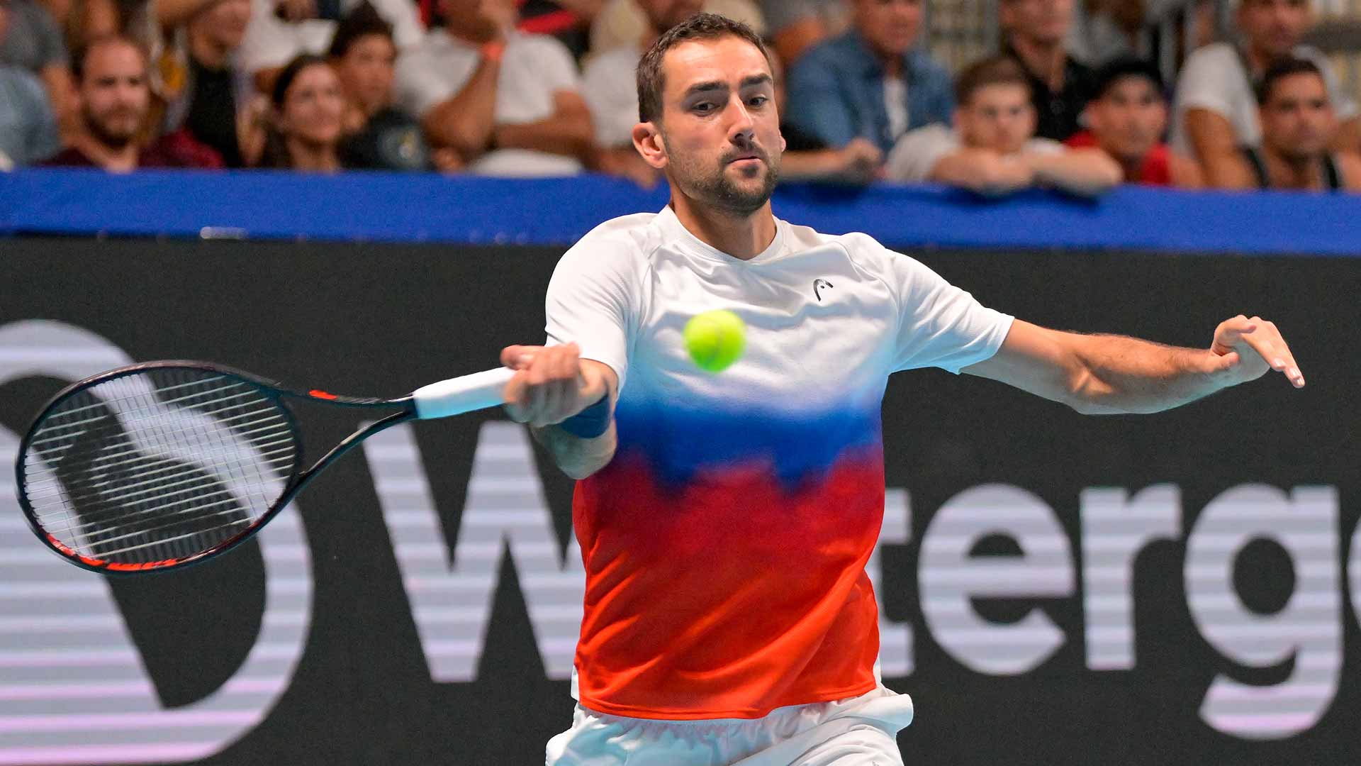 Cilic e la stima per i Fab4