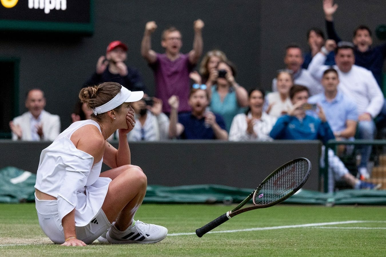 svitolina