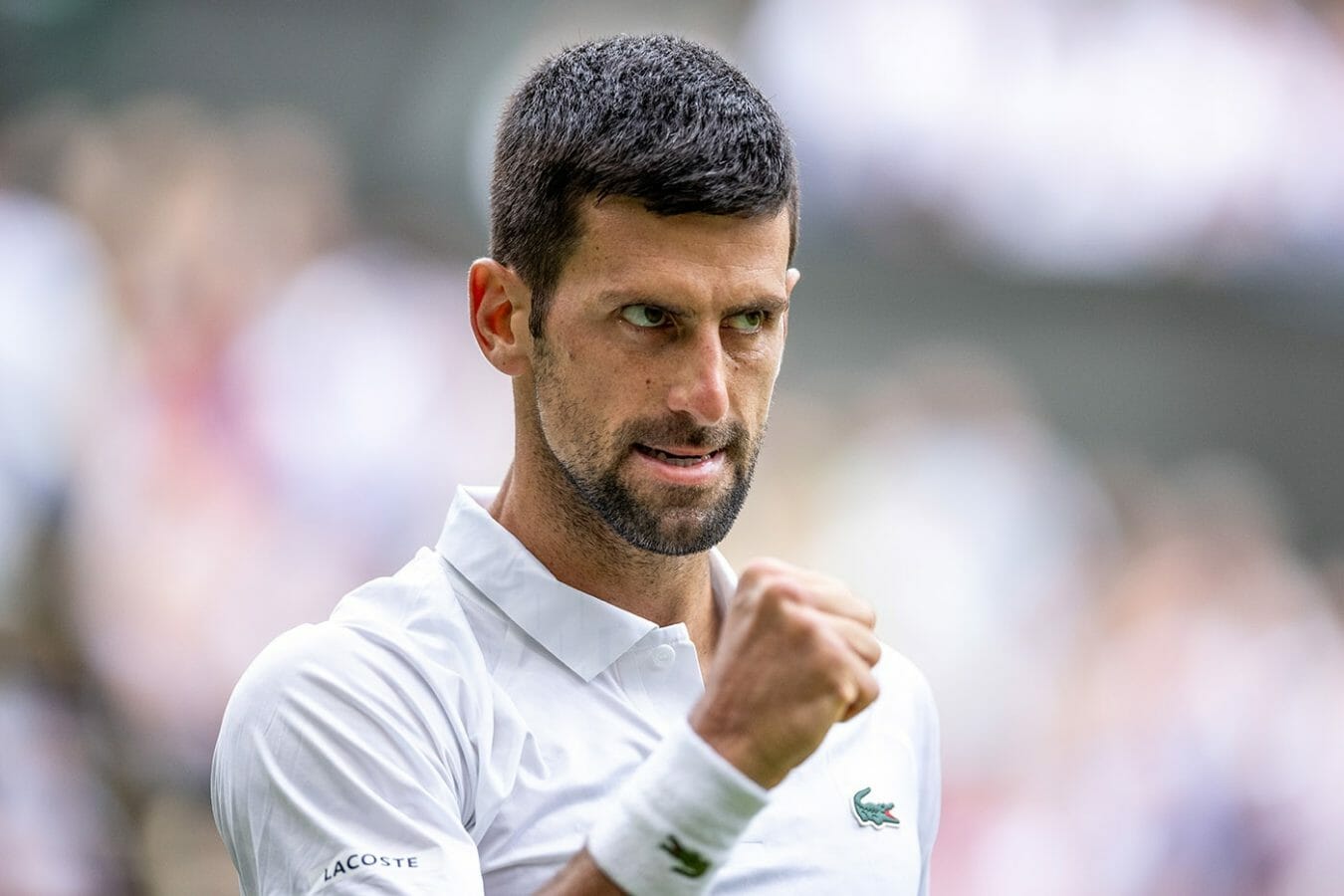 djokovic
