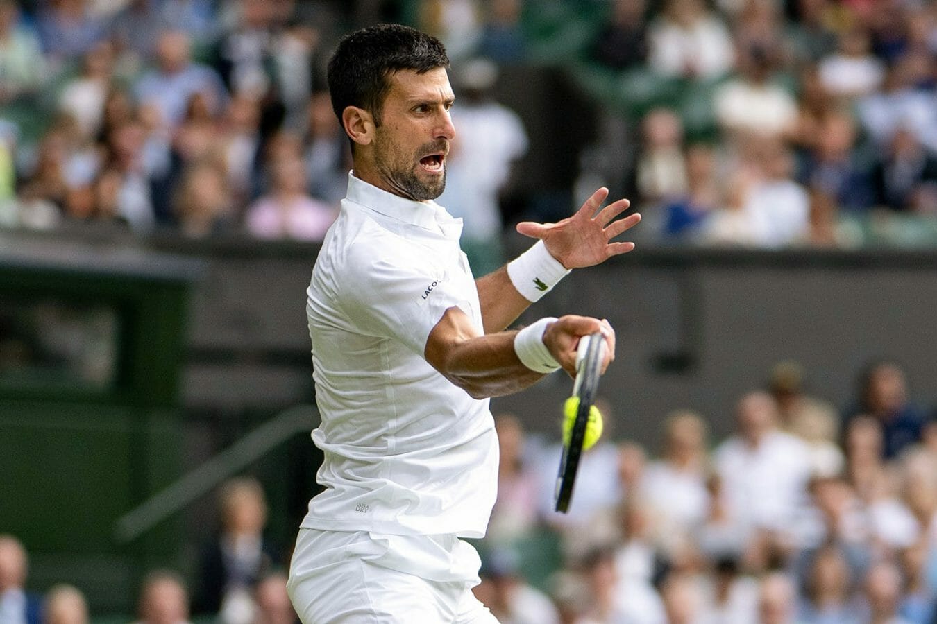djokovic