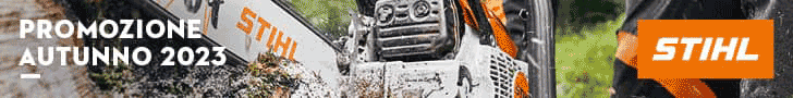 spot_img