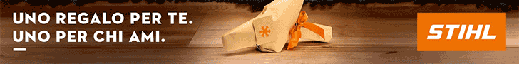 spot_img