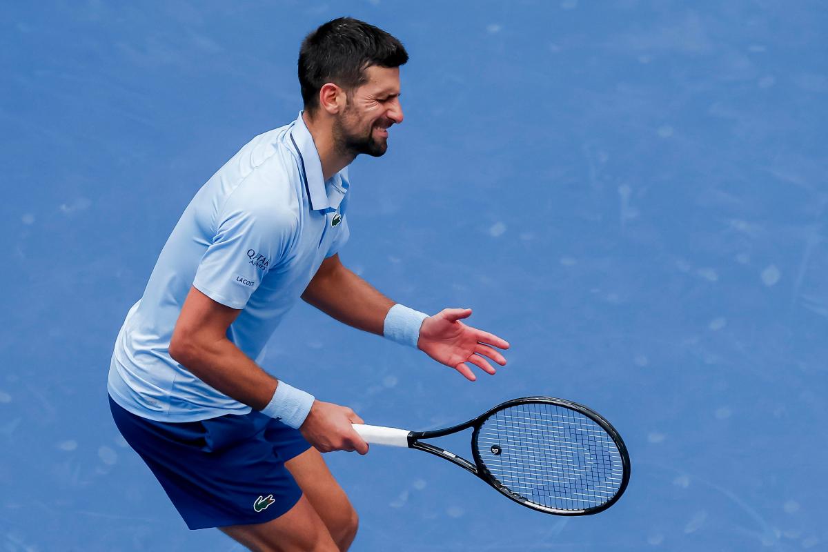 Djokovic fa una smorfia di rammarico