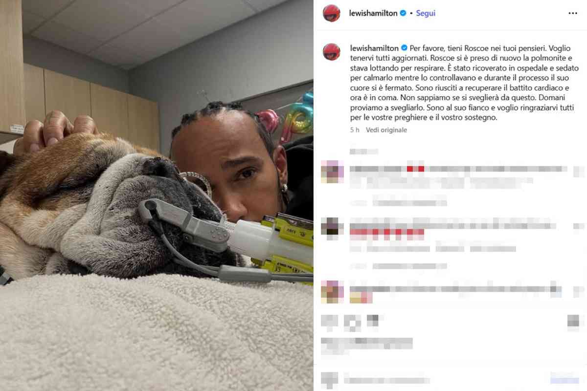 Hamilton che abbraccia il suo cane intubato